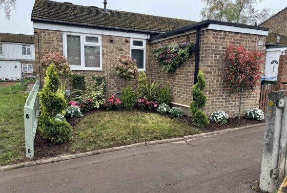 The garden after the makeover